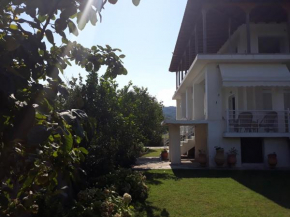 The green garden villa by the sea!